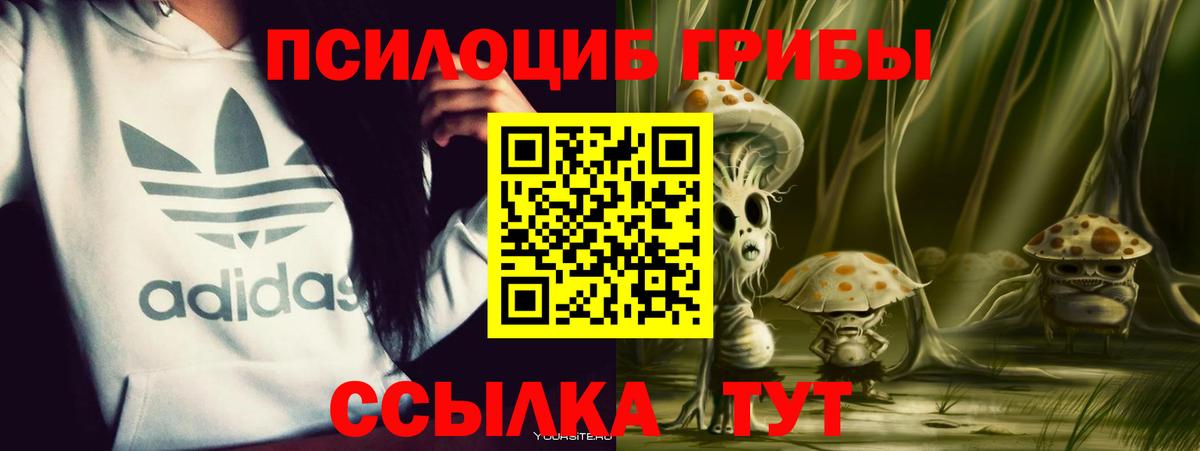 Псилоцибиновые грибы мицелий  Псилоцибиновые грибы Magic Shrooms  Ликино-Дулёво  Вход с VPN 